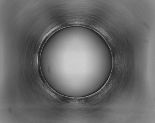 X0000113150790200909181749