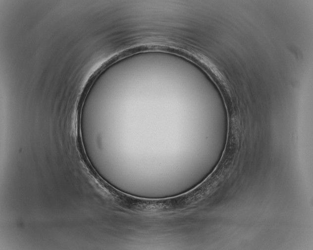 X0000113150791200909181749