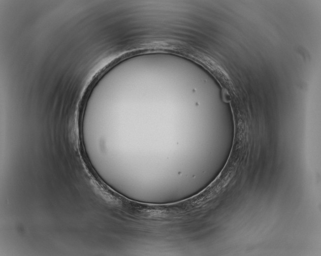 X0000113150792200909181749