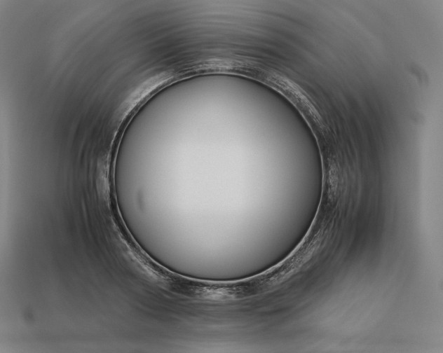 X0000113150794200909181749