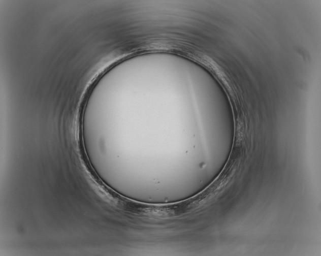 X0000113150795200909181749