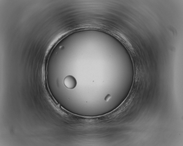 X0000113150796200909181749