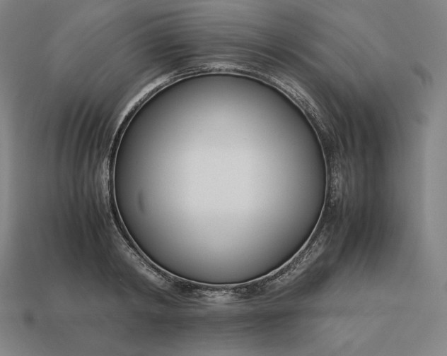 X0000113150798200909181749