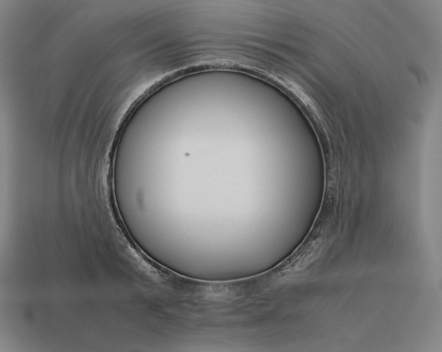 X0000113150799200909181749