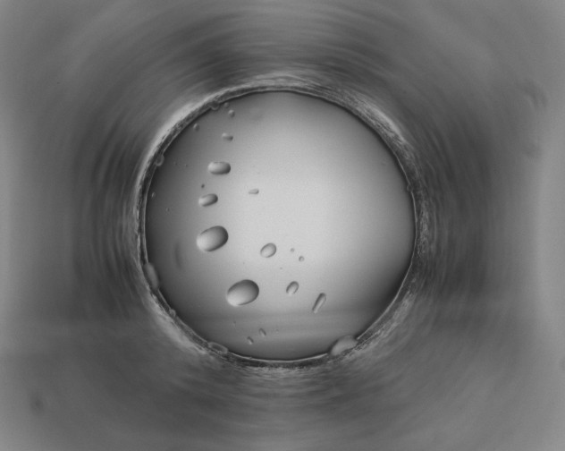 X0000113150800200909181749