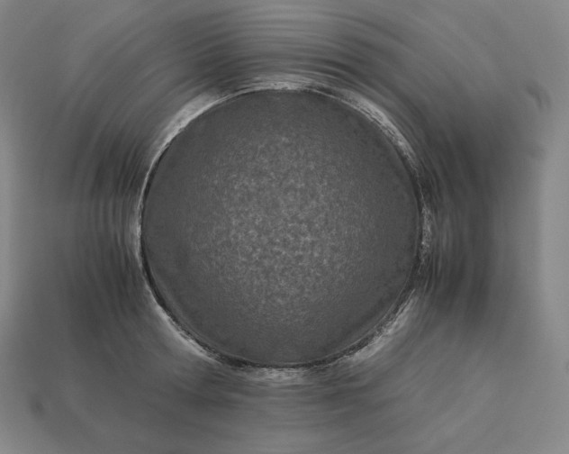 X0000113150802200909181749