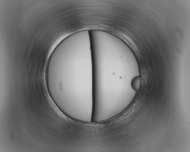 X0000113150804200909181749