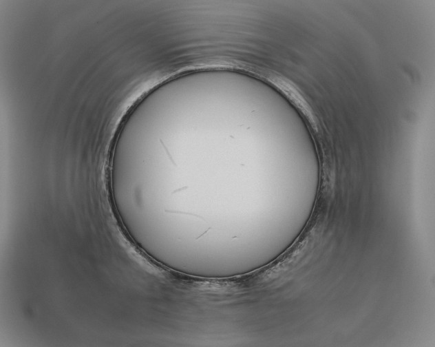 X0000113150805200909181749