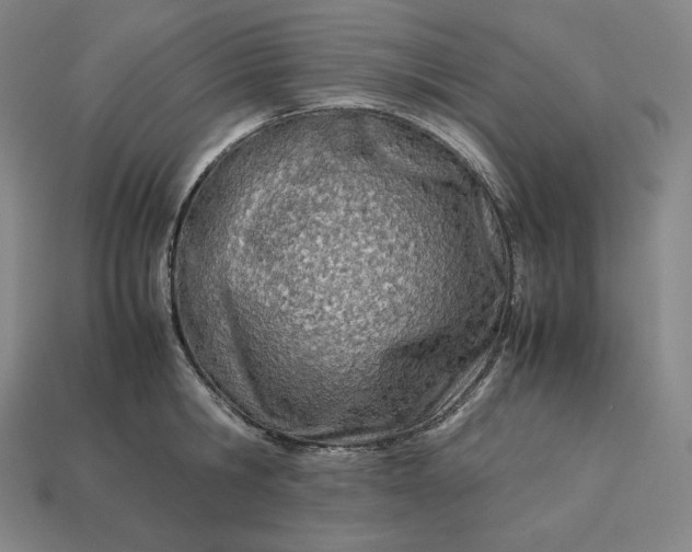 X0000113150806200909181749