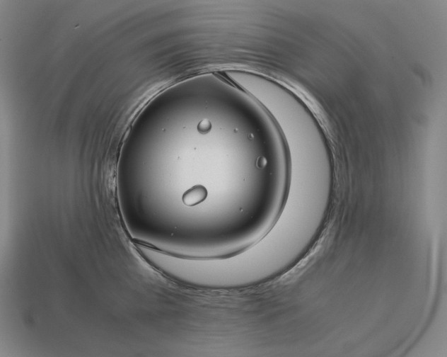 X0000113150809200909181749