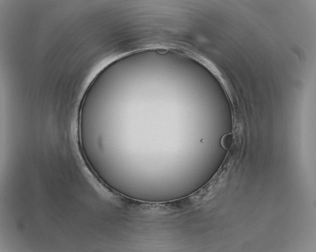 X0000113150811200909181749