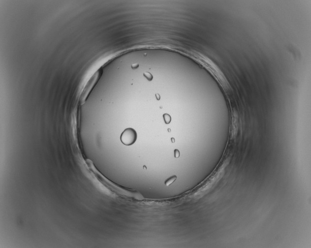 X0000113150812200909181749