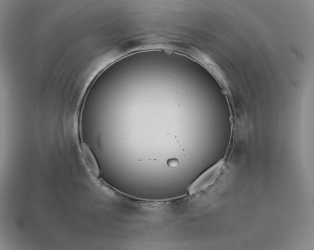 X0000113150813200909181749