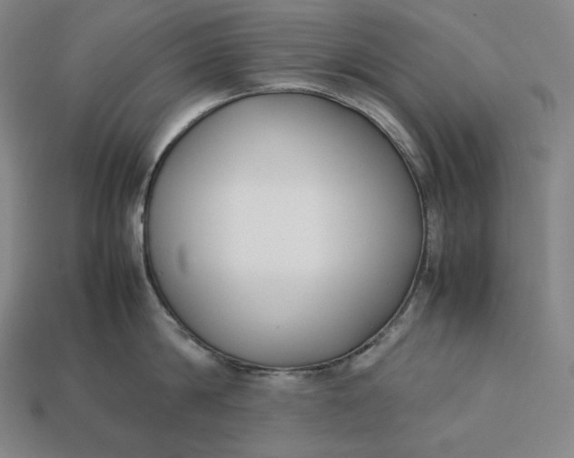 X0000113150814200909181749