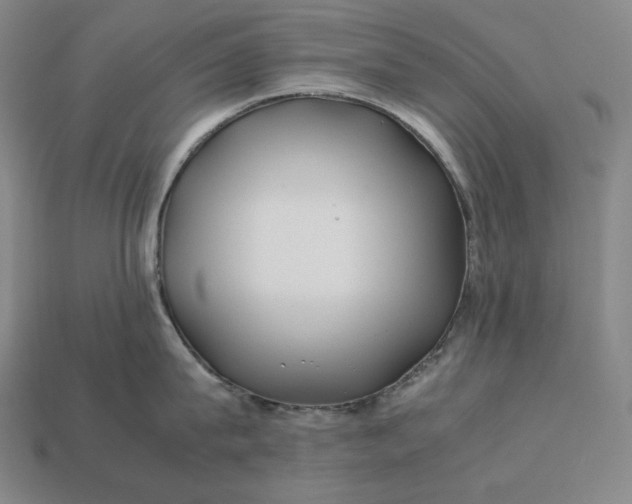 X0000113150815200909181749