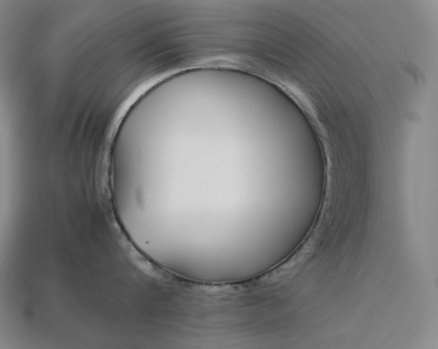 X0000113150816200909181749