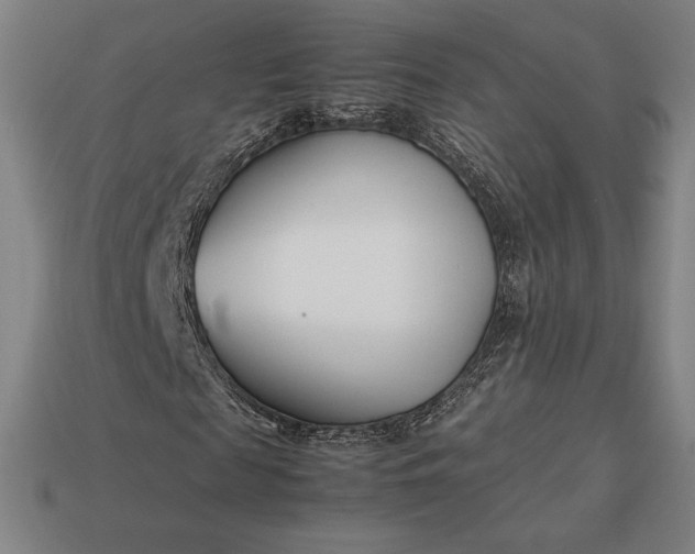 X0000113150817200909181748