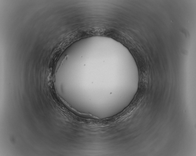 X0000113150818200909181748