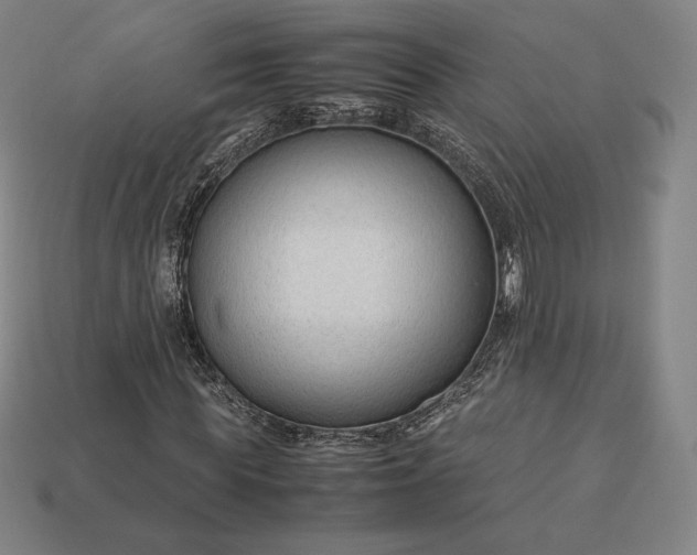 X0000113150819200909181748