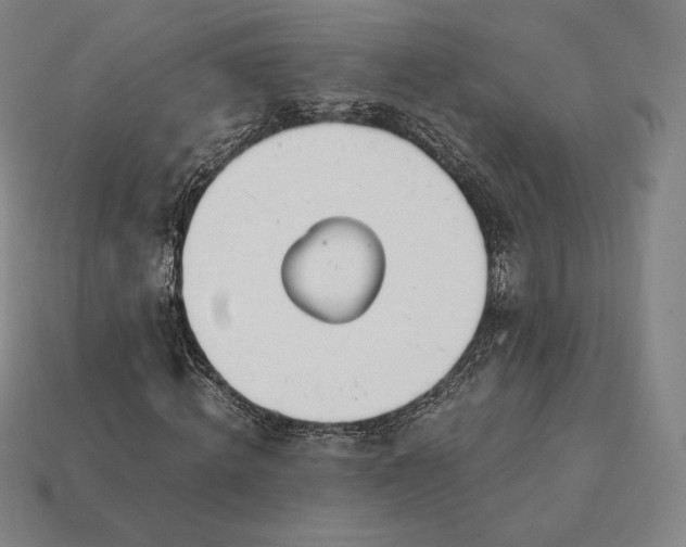 X0000113150820200909181748