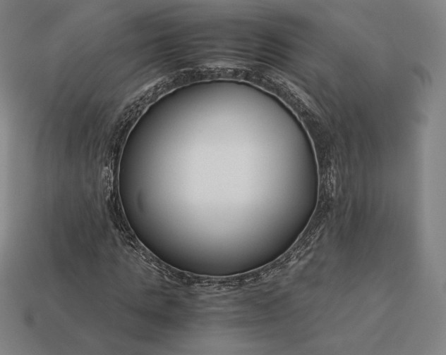 X0000113150821200909181748