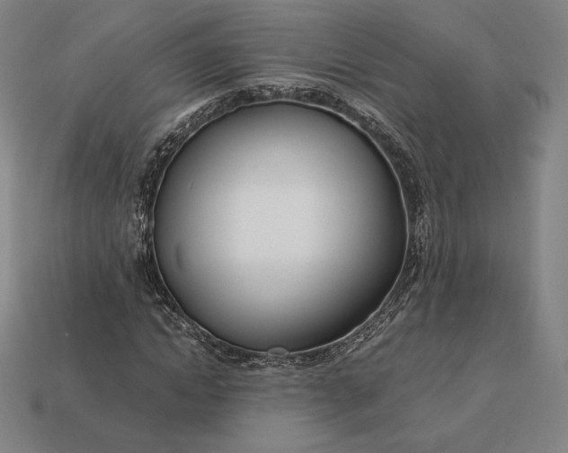 X0000113150822200909181748