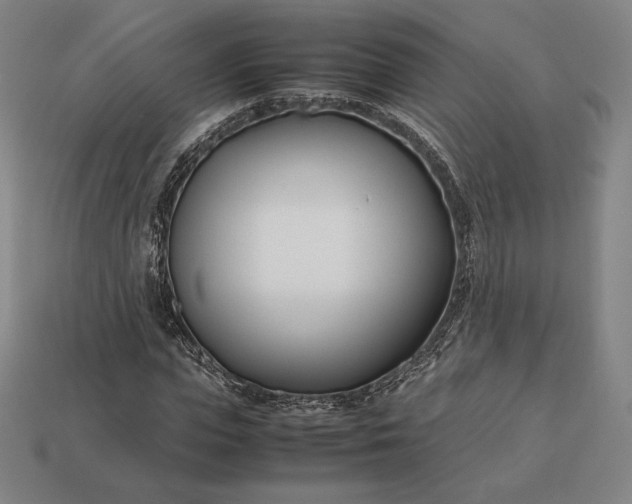 X0000113150823200909181748