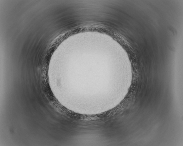 X0000113150824200909181748