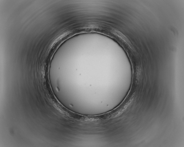 X0000113150826200909181748