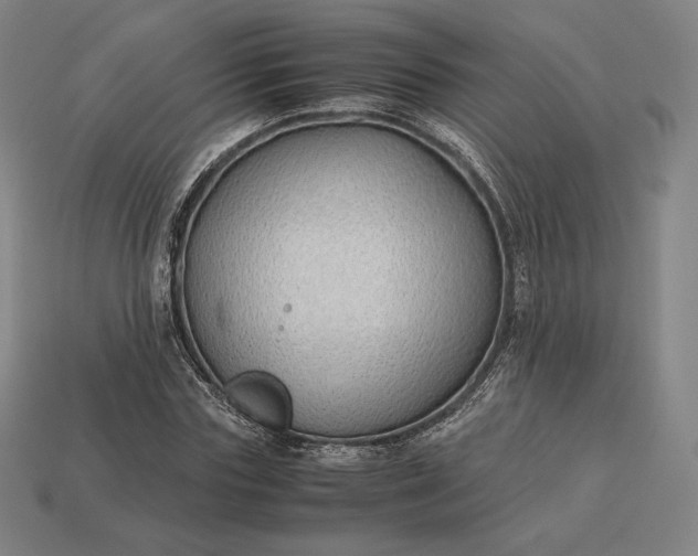 X0000113150827200909181748