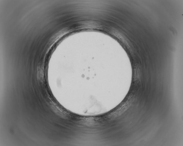 X0000113150828200909181748