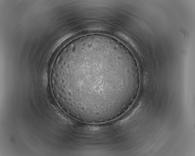 X0000113150829200909181748