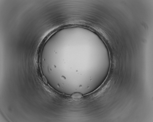 X0000113150830200909181748