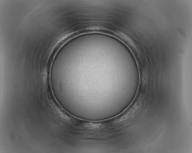 X0000113150831200909181748