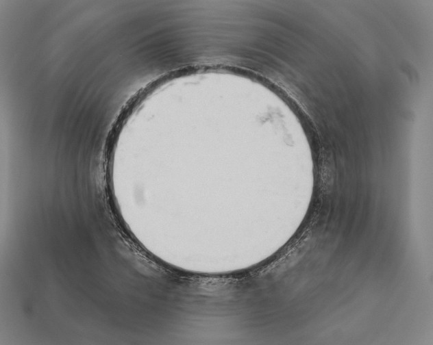 X0000113150832200909181748