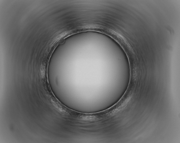 X0000113150833200909181748