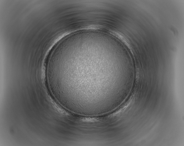 X0000113150835200909181748