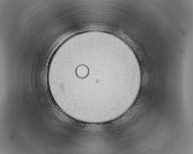 X0000113150836200909181748