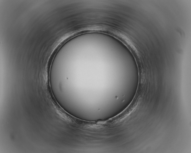 X0000113150837200909181749