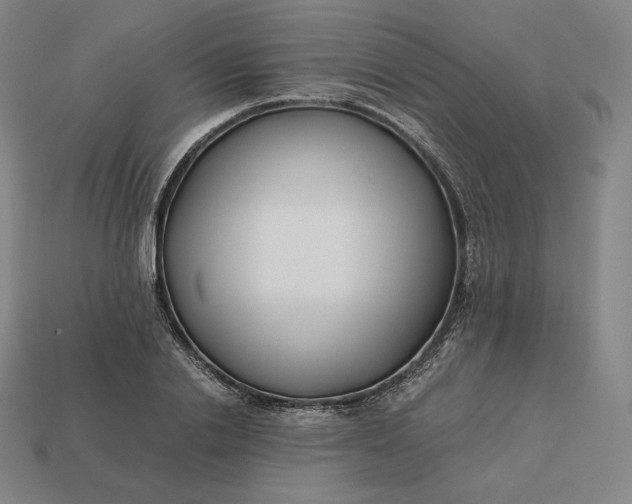 X0000113150838200909181749