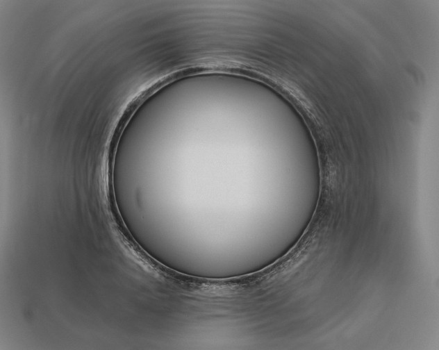 X0000113150840200909181749