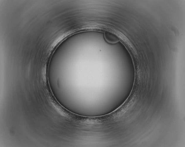 X0000113150842200909181749