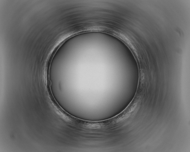 X0000113150843200909181749