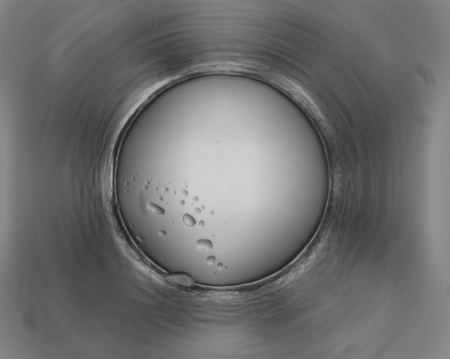 X0000113150844200909181749