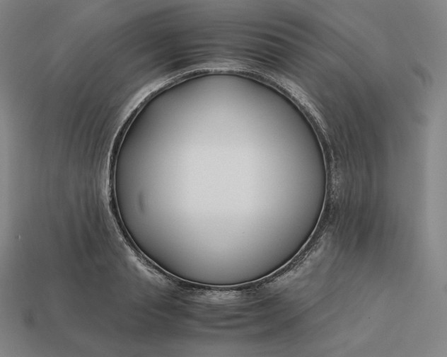 X0000113150845200909181749