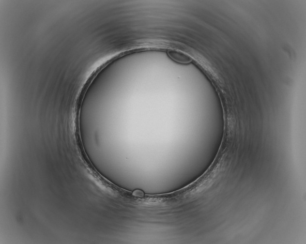 X0000113150846200909181749