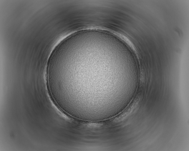 X0000113150847200909181749