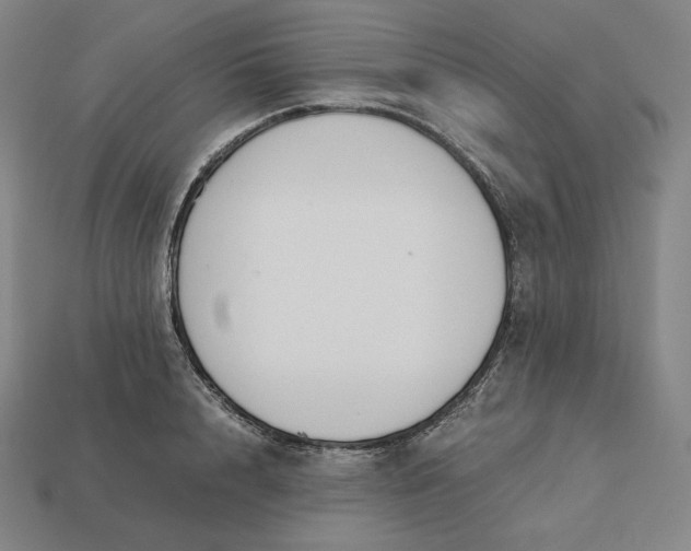 X0000113150848200909181749