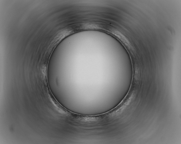 X0000113150849200909181749