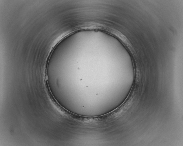 X0000113150850200909181749